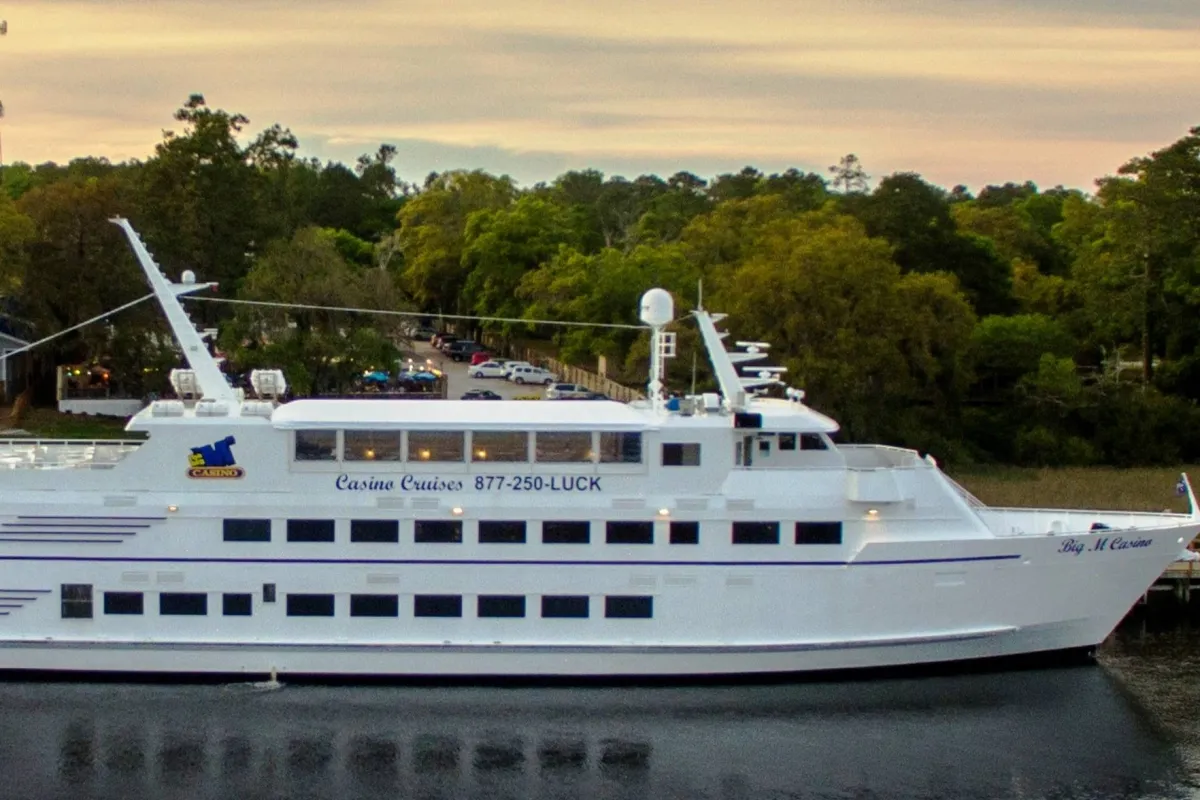 This image captures a large white cruise ship docked amid lush trees, with the docking area visible. The scene conveys the excitement of embarking on a riverboat adventure, offering glimpses of socializing spaces and opportunities for group experiences by the water.